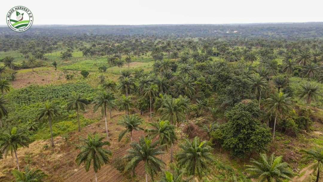 WhatsApp Image 2025-09-11 at 11.00.30 (1)