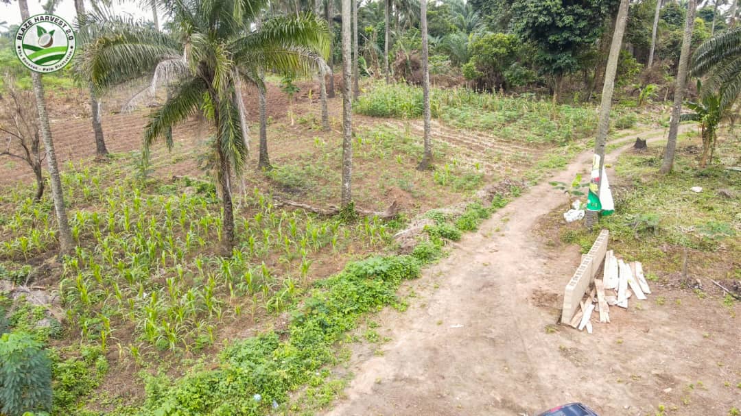 WhatsApp Image 2025-09-11 at 11.00.30