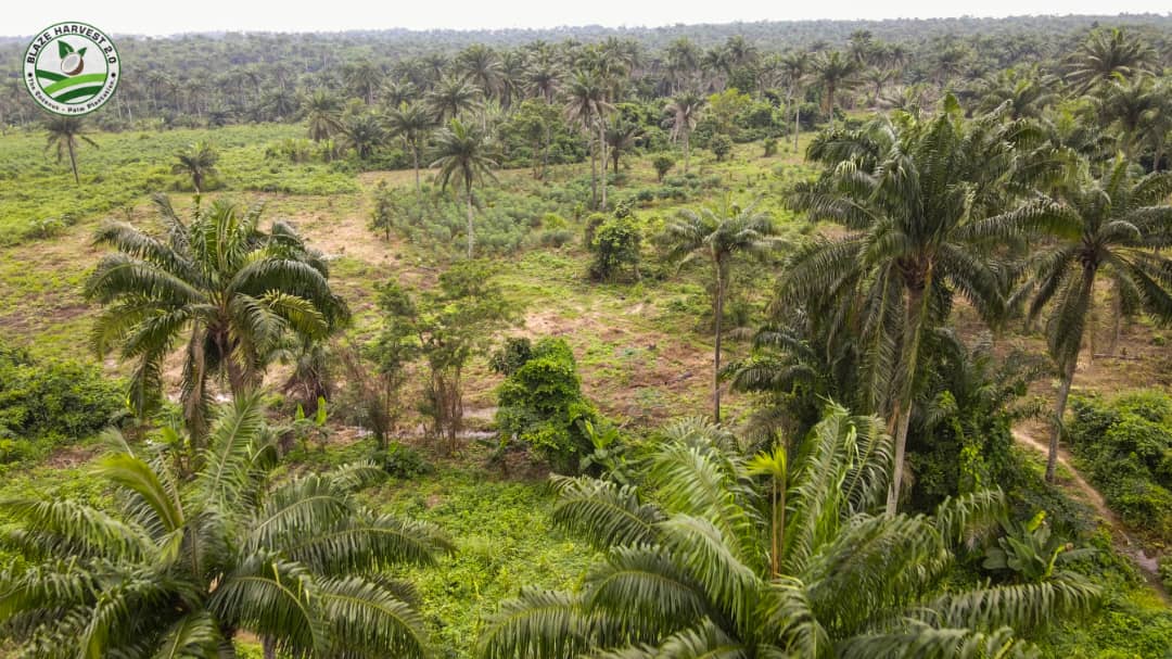 WhatsApp Image 2025-09-11 at 11.00.31 (2)