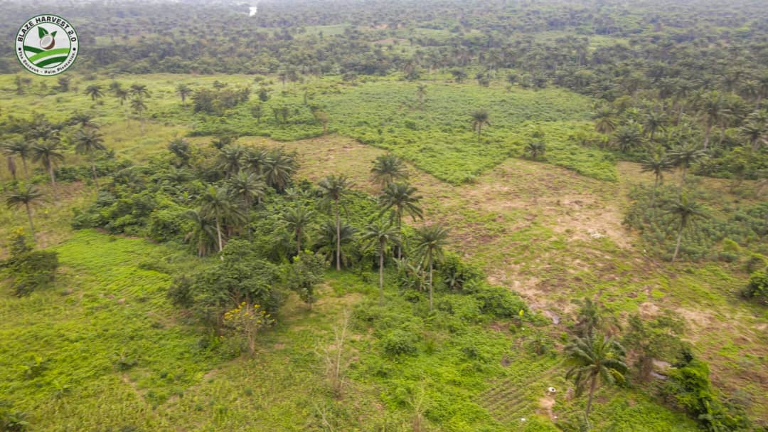 WhatsApp Image 2025-09-11 at 11.00.31 (3)