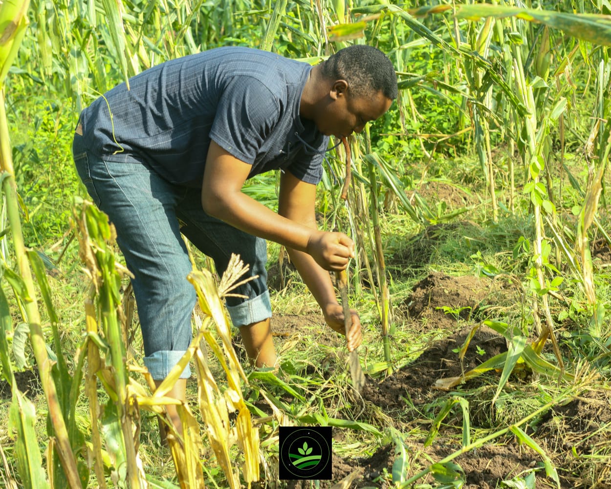 WhatsApp Image 2025-09-11 at 12.07.03