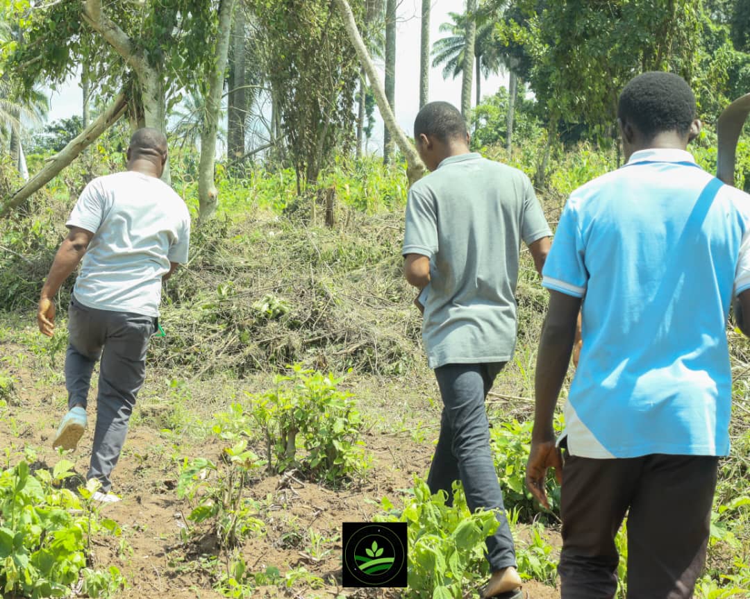 WhatsApp Image 2025-09-11 at 12.07.05 (1)