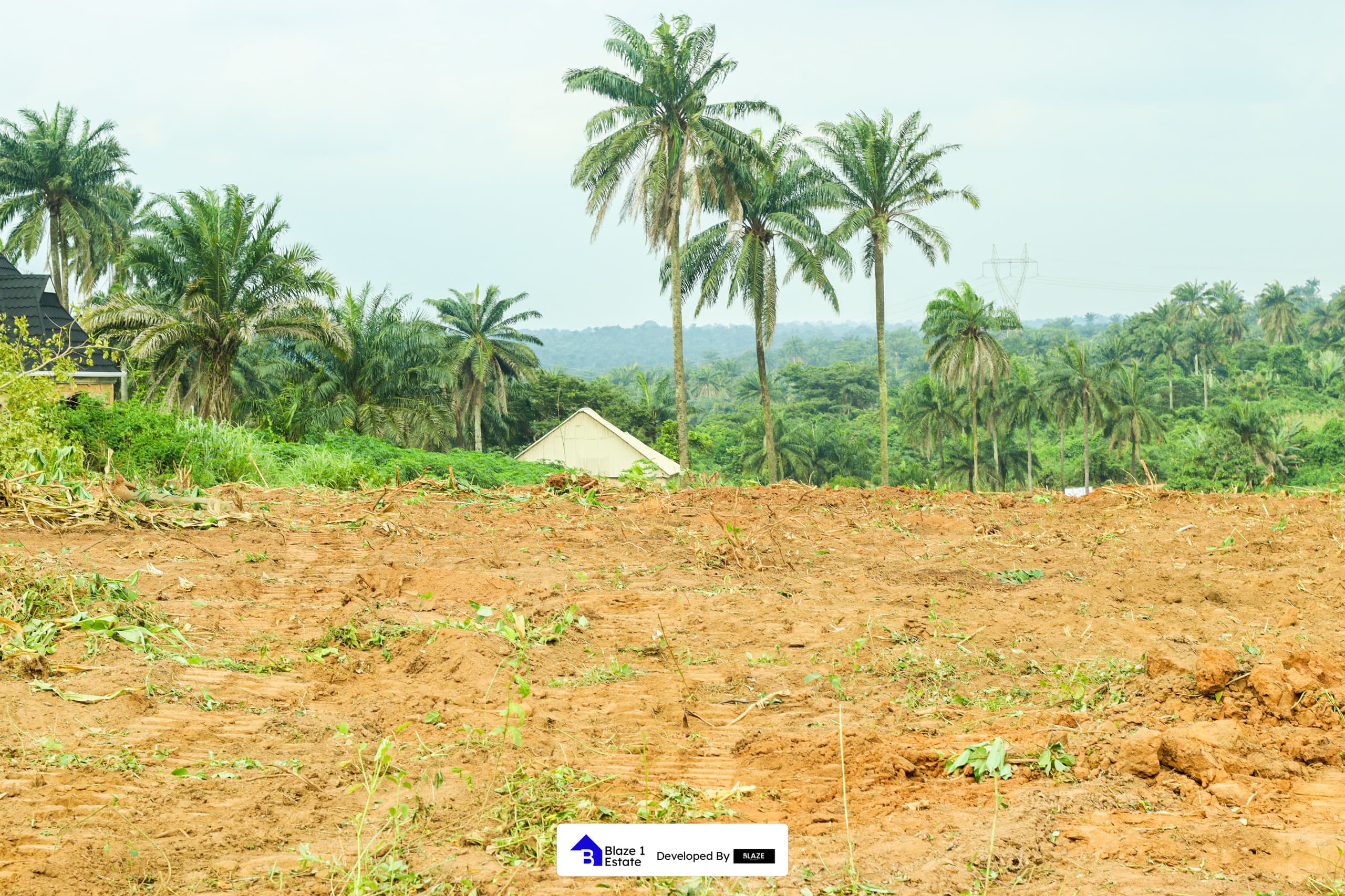 WhatsApp Image 2025-09-11 at 12.48.03